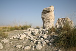 ճ1