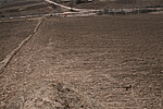 峤1