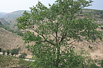 ŻҤ2ŷ̨
