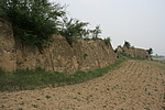 ţı